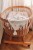 IMG_3505.jpeg