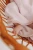 MAMUSHIE LIPIEC-165.webp
