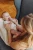 Mamushie106.webp