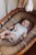 IMG_3627.jpeg